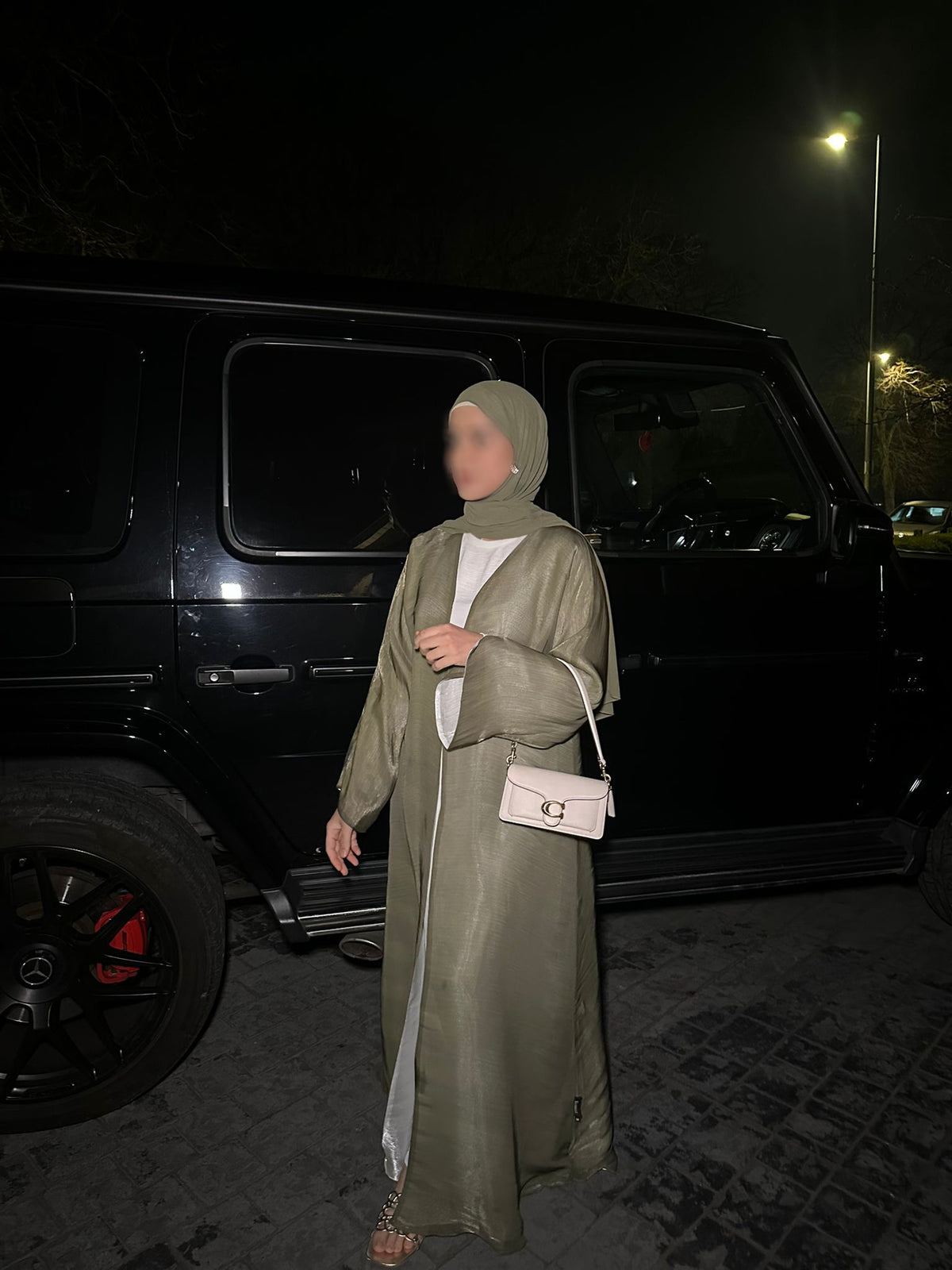 Luxury Organza Reversible Abaya – Olive / Pearl